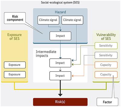 Using impact chains for assessing local climate risk—A case study on impacts of extended periods of fluvial low waters and drought on a metropolitan region